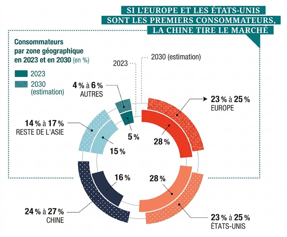 The image shows a pie chart illustrating projected consumer market shares in 2030, with the EU and US being the top consumers, China tying for second, and Asia having a significant share, including an estimated increase for China.
Le contenu généré par l’IA peut être incorrect.